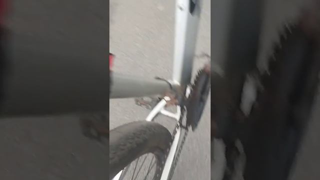 Велосипед горный SkillBike рама 19 колеса 29