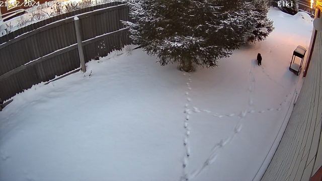 г.Тюмень пример видео с установленной камеры HiWatch DS-I402