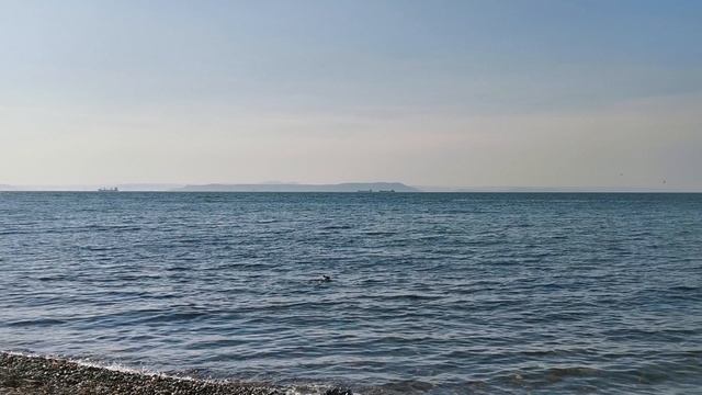 Бухта Фёдорова в г. Владивосток__2025.05.11