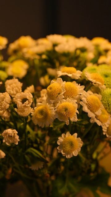 Фотофонарь индекс цветопередачи CRI