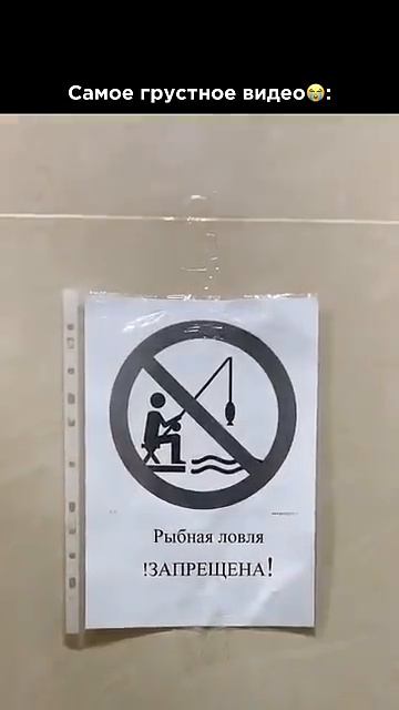 А где рыбачить то😭⁉️ТГ в закрепе😎 #shorts #comedy #funnymemes #memes