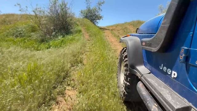 23,05,25 #jeep #wrangel прогулка