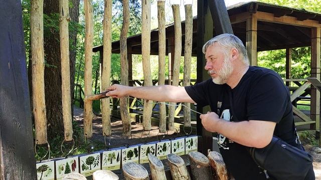 Концерт главного прибанбаха :-) на Куршской косе
