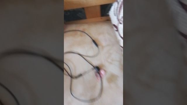 это мой новенькая комната