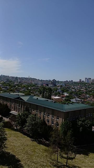 как всё зелено