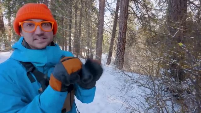 Блиппи (Blippi) - Песня Движение - Жизнь   Обучающие мультики для детей   Blippi Russian