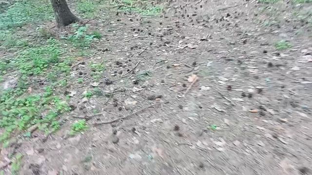 фантаны это красиво