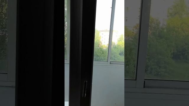1000101672.mp4