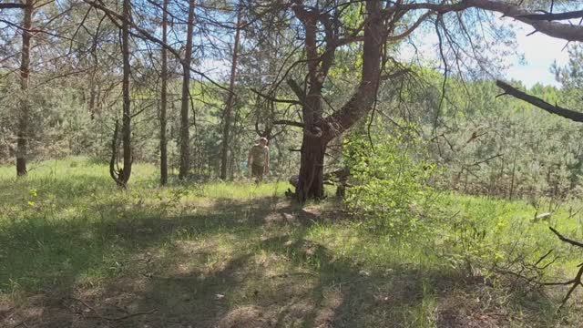 Прогулка по лесу.