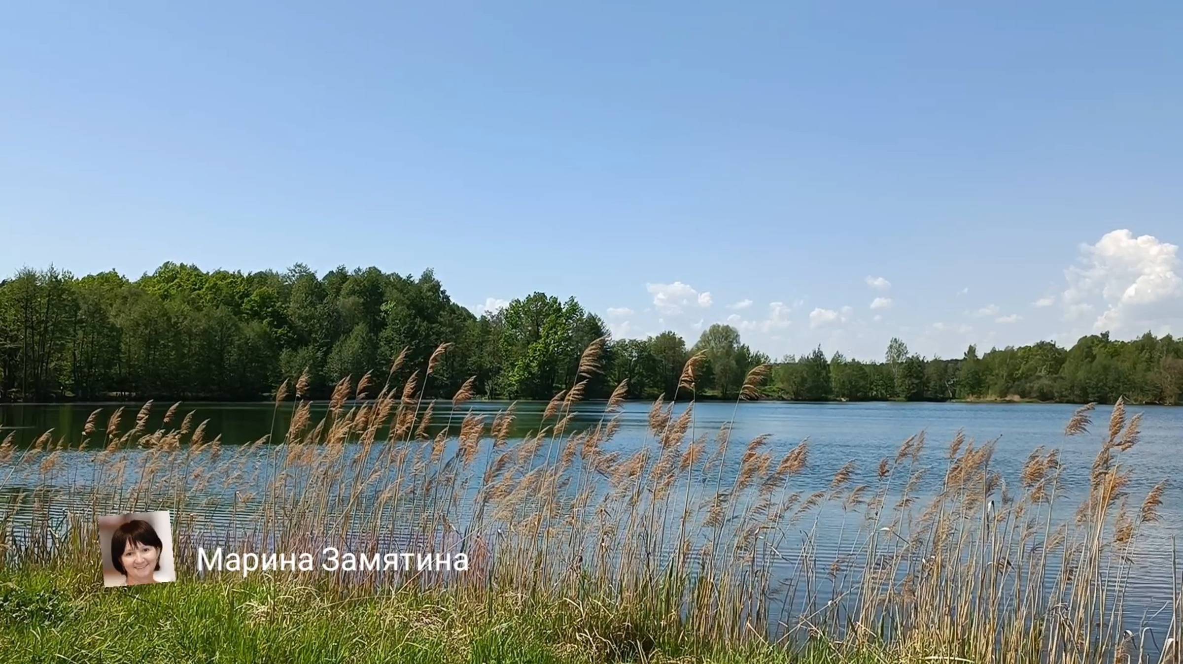 Экотерапия. Релакс.