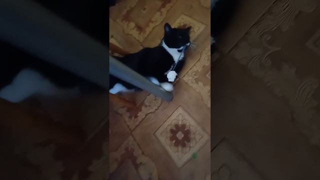 Игрался и потерялся))