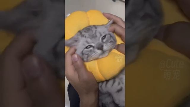 1000107191.mp4