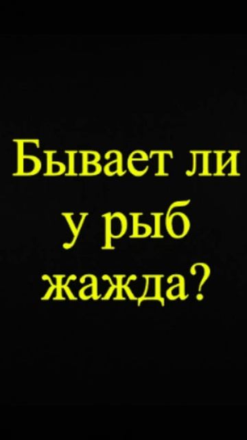Мозгоправ самоубился. Книга первая. Вопрос 44