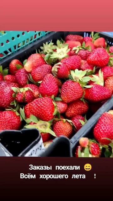Самая свежая ягода, от 6 кг сделаем доставку по городу!