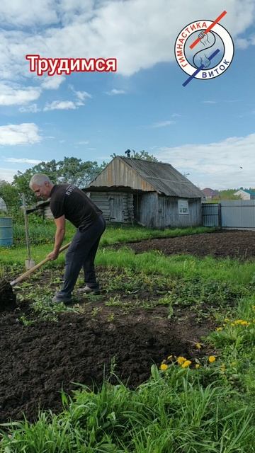 Суставная гимнастика в деле. Пять упражнений. Гимнастика ВИТОК #зож #суставы #мышцы #польза  #труд