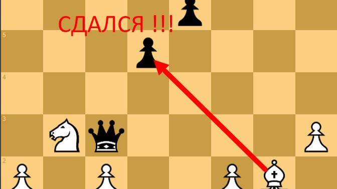 ВЕСЕЛАЯ ПАРТИЯ, СОПЕРНИК ТАЛЯ ПСИХАНУЛ И ОТДАЛ СЛОНА НА 17 ХОДУ
