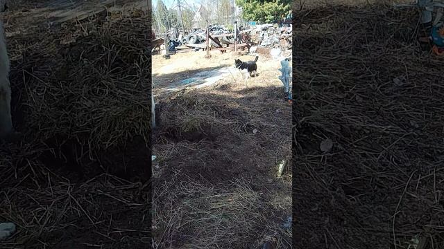1000047526.mp4