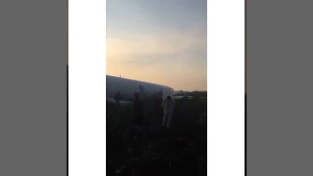 ЖЕСТЬ ! Крушение самолёта в Подмосковье