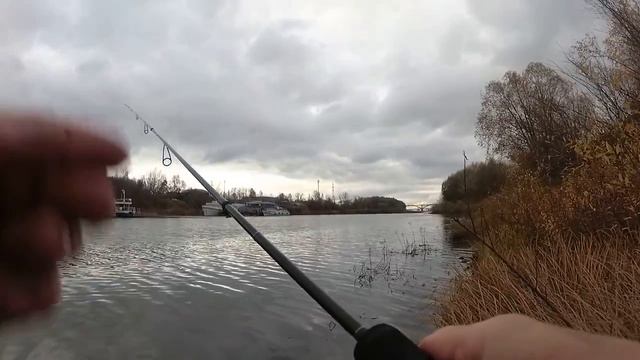 МДЖ в конце октября.