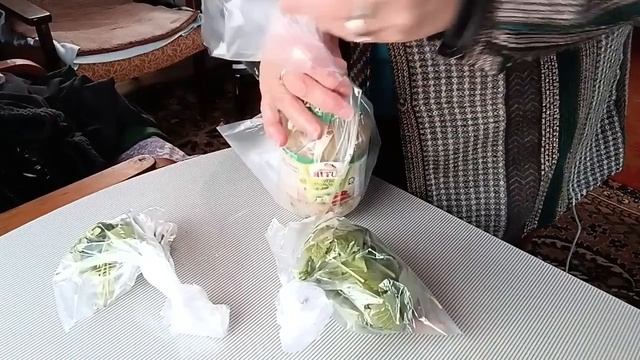Перевозим вещи в сад, заказала газель.