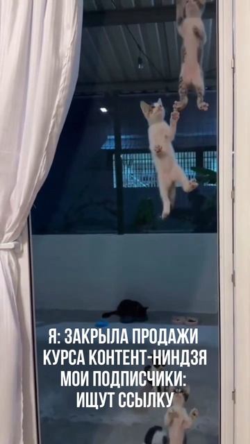 ПОДПИСЫВАЙСЯ НА КАНАЛ➡️@content_smm
⠀