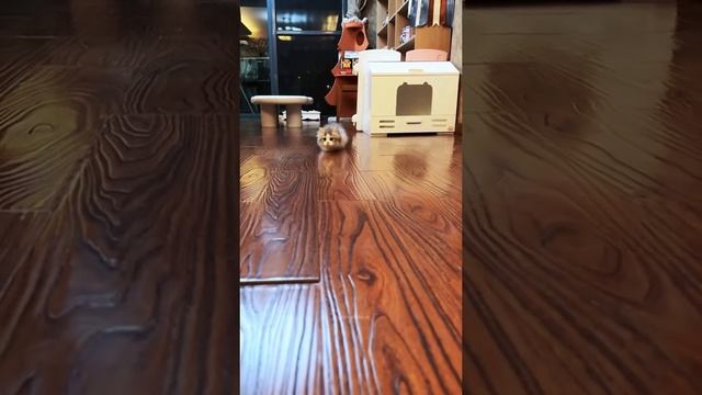 1000107188.mp4
