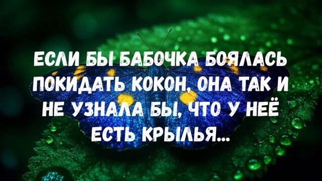 Если бы бабочка...