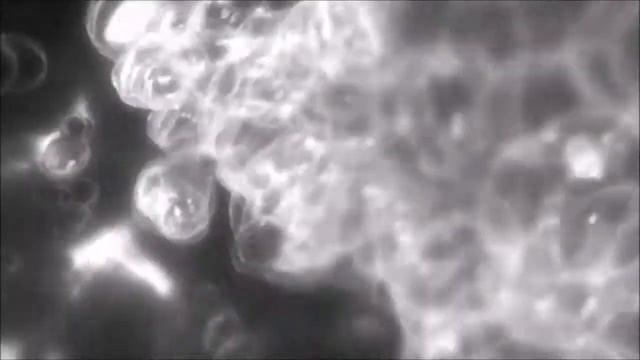 Тайга и Рюдзи - anime とらドラ - ТораДора  (Evenesens – Bring me to life. )
