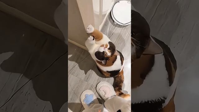 1000107185.mp4