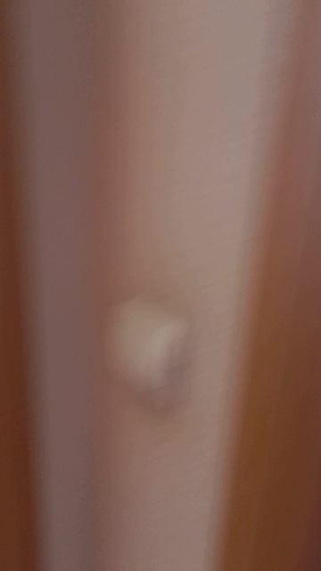 1000186871.mp4