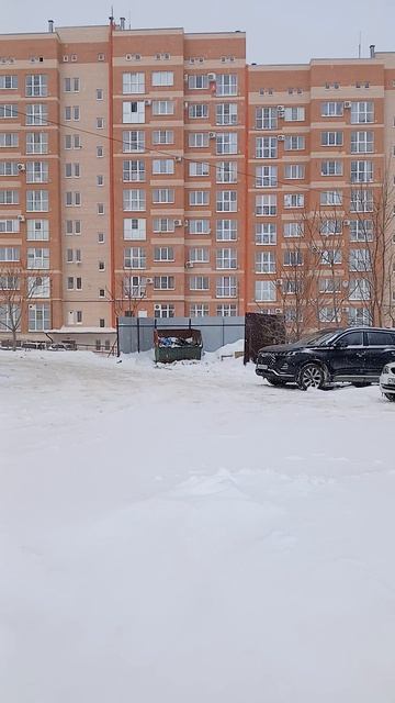 суровая зима