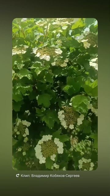 1000624444.mp4