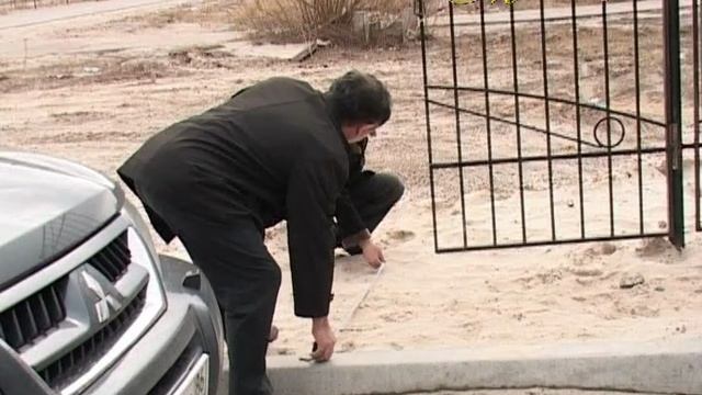 "МИМОХОДОМ 24 мая 2010 год. Автор проекта О. Дзиов