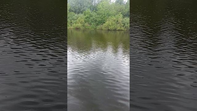 путешествие по реке Волге