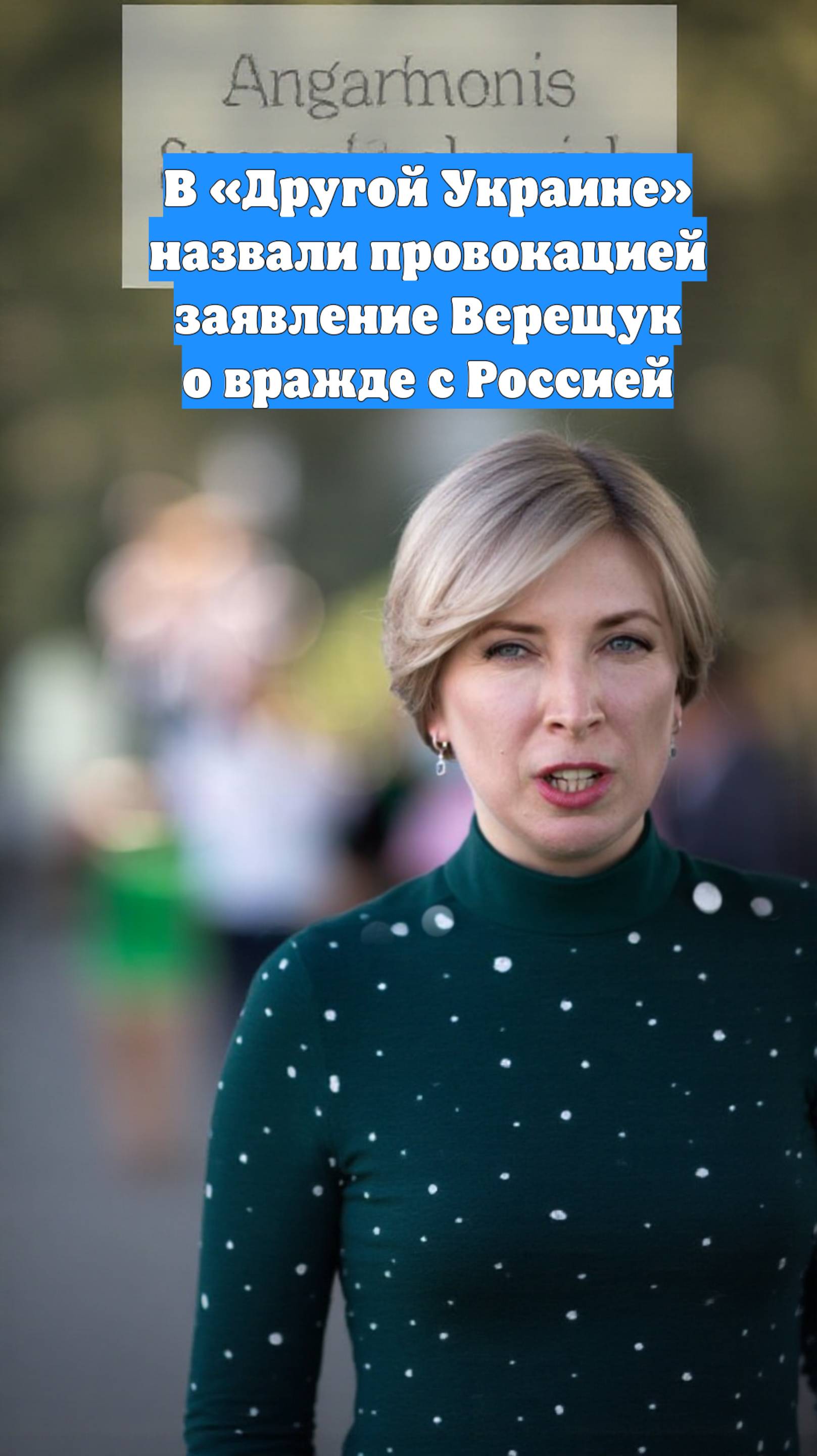 В «Другой Украине» назвали провокацией заявление Верещук о вражде с Россией
