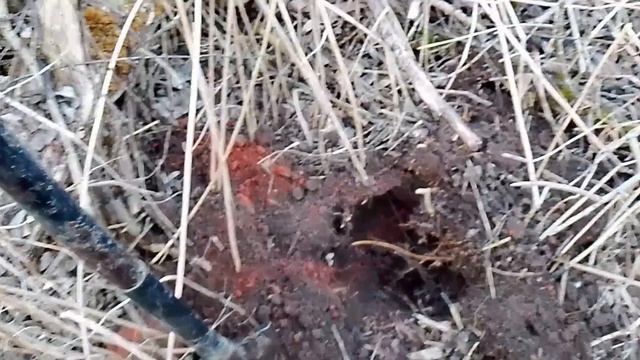 шикарные находки при копе металла — коп по войне.