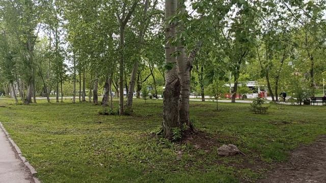 Поиск работы. г.Пермь.