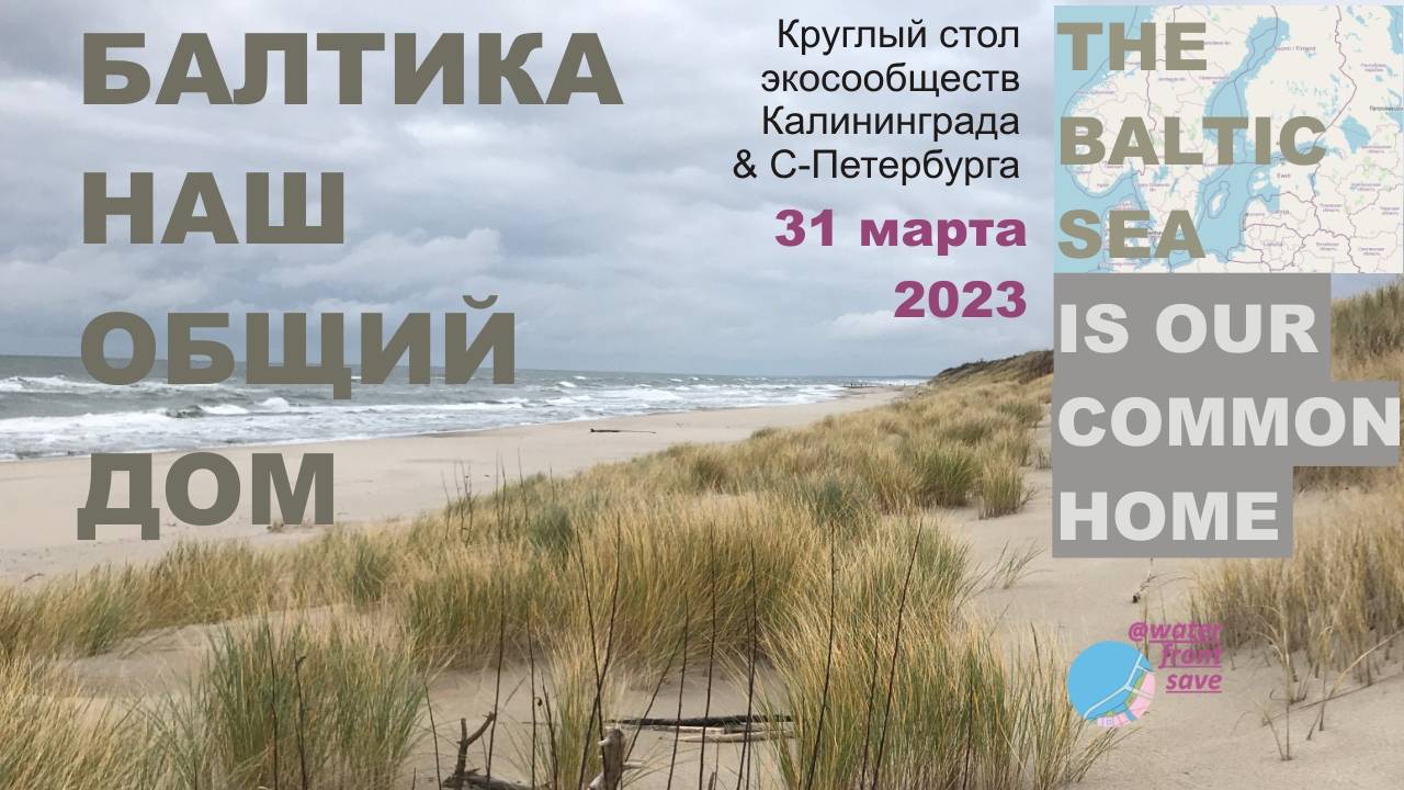 09 Прибрежные горячие точки Финского залива — взгляд экоюриста. Ксения Михайлова.