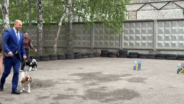 1007107252.mp4