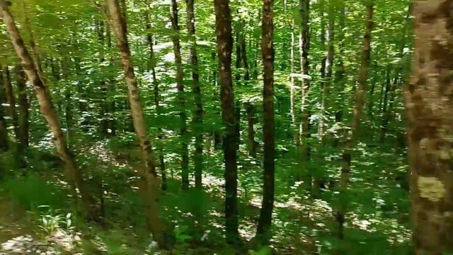 1000006346.mp4