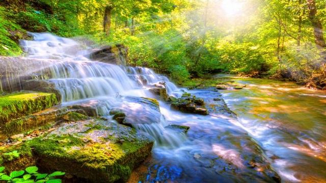SUMMER MUSIC MIX 14