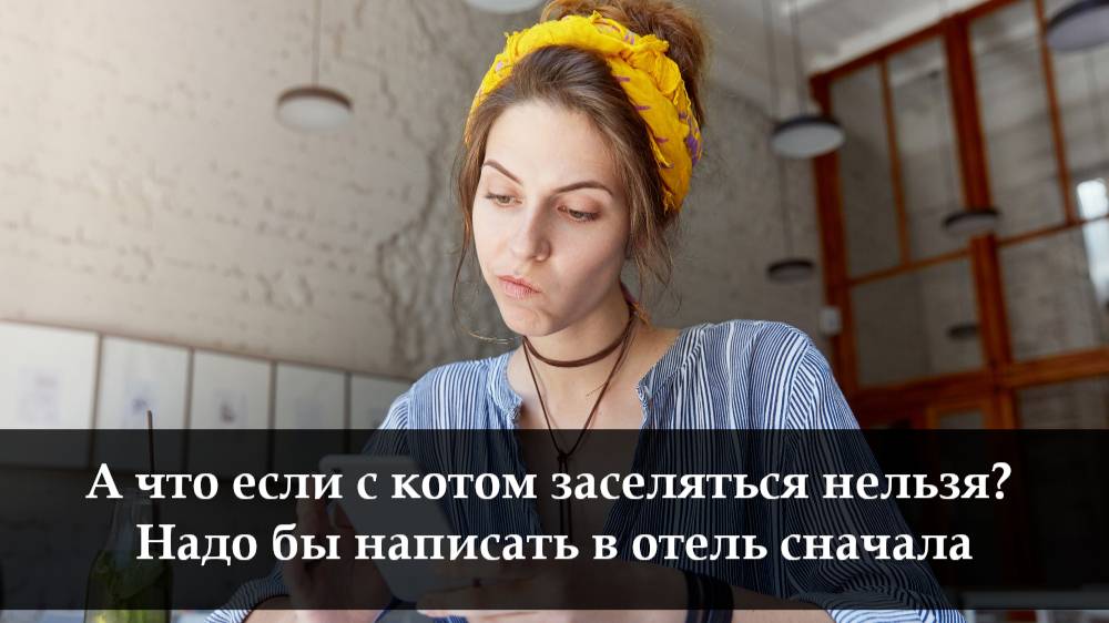 Как связаться с арендодателем на Суточно ру