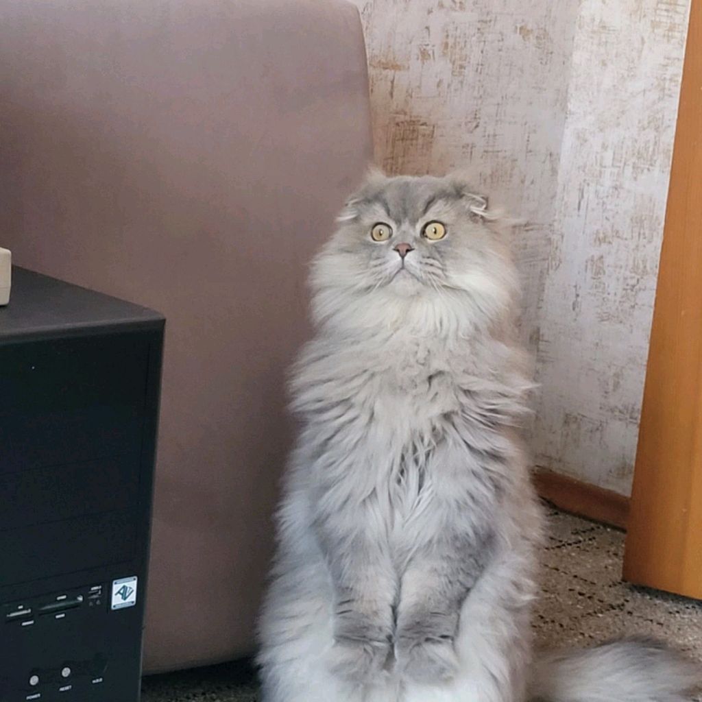 о моей болезни