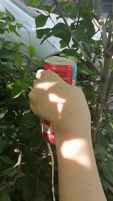VID_20250524_173154.mp4