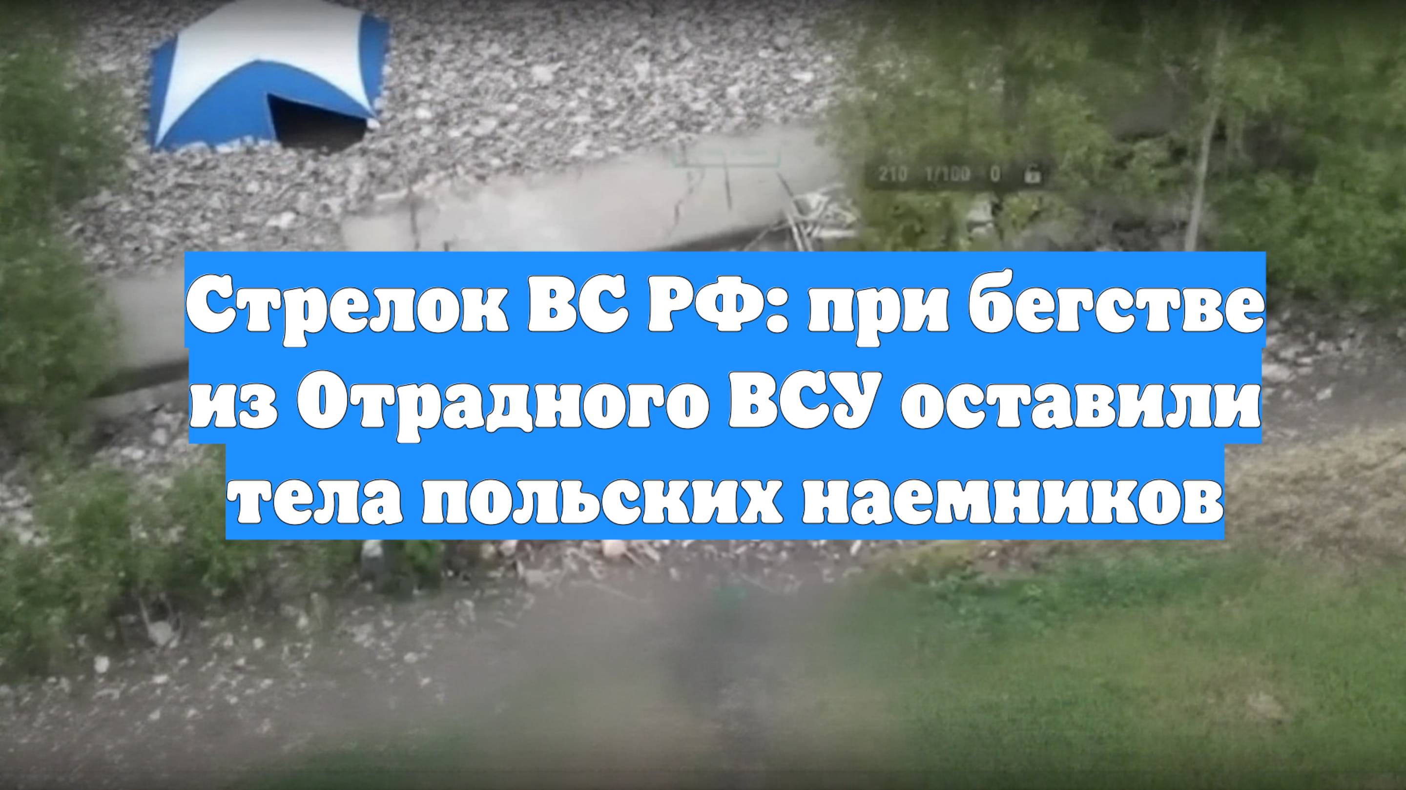 Стрелок ВС РФ: при бегстве из Отрадного ВСУ оставили тела польских наемников