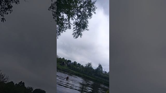 плавание 2