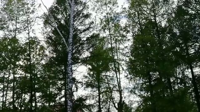 Там, где звучит последний звонок