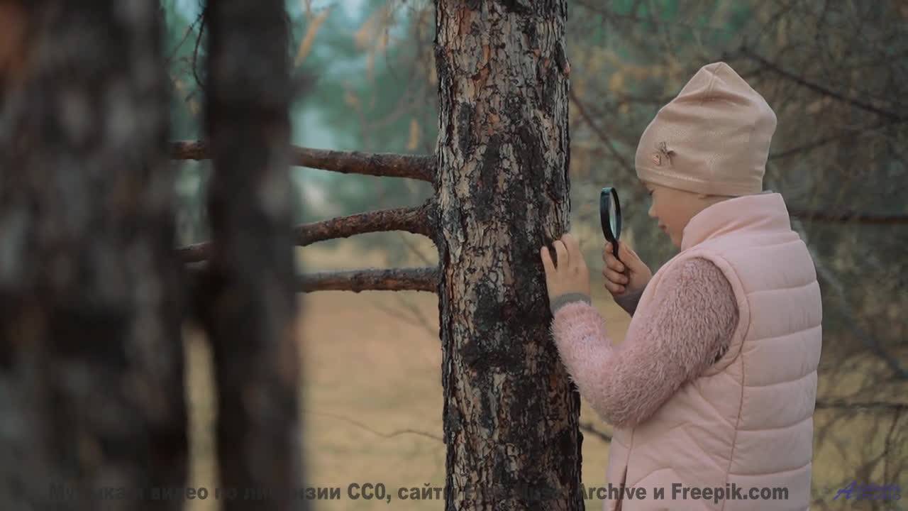 Трек, который вы будете ассоциировать с запахом её духов в машине - Frieden -- Ketsa -- Dimensions