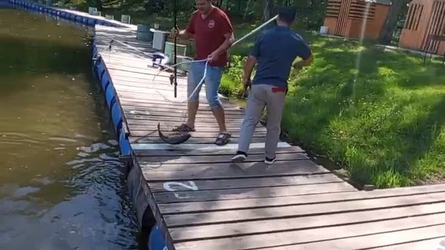 24.05.25 г. РК Волна