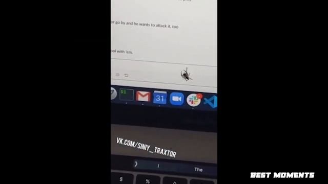 ЗАСМЕЯЛСЯ   ПОДПИСАЛСЯ!! ЛУЧШИЕ ПРИКОЛЫ I 623 СЕКУНДЫ СМЕХА   TRY NOT TO LAUGH приколы 2020